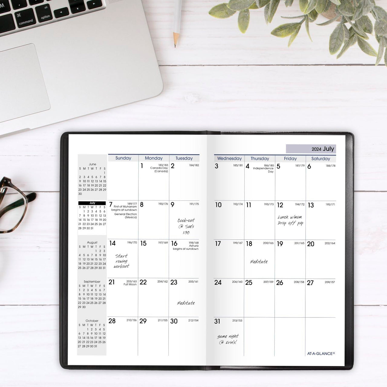 AT-A-GLANCE Planner 2024-2025 Academic, Monthly Pocket Planner, 3-1/2" x 6", Flexible Cover, DayMinder, Black (AY5300) Pocket Size 2024-2025 New Edition