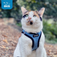 Voyager Step-in Air Dog Harness - All Weather Mesh Step in Vest Harness for Small and Medium Dogs and Cats by Best Pet Supplies - Harness (Baby Blue/Black Trim), M (Chest: 16-18