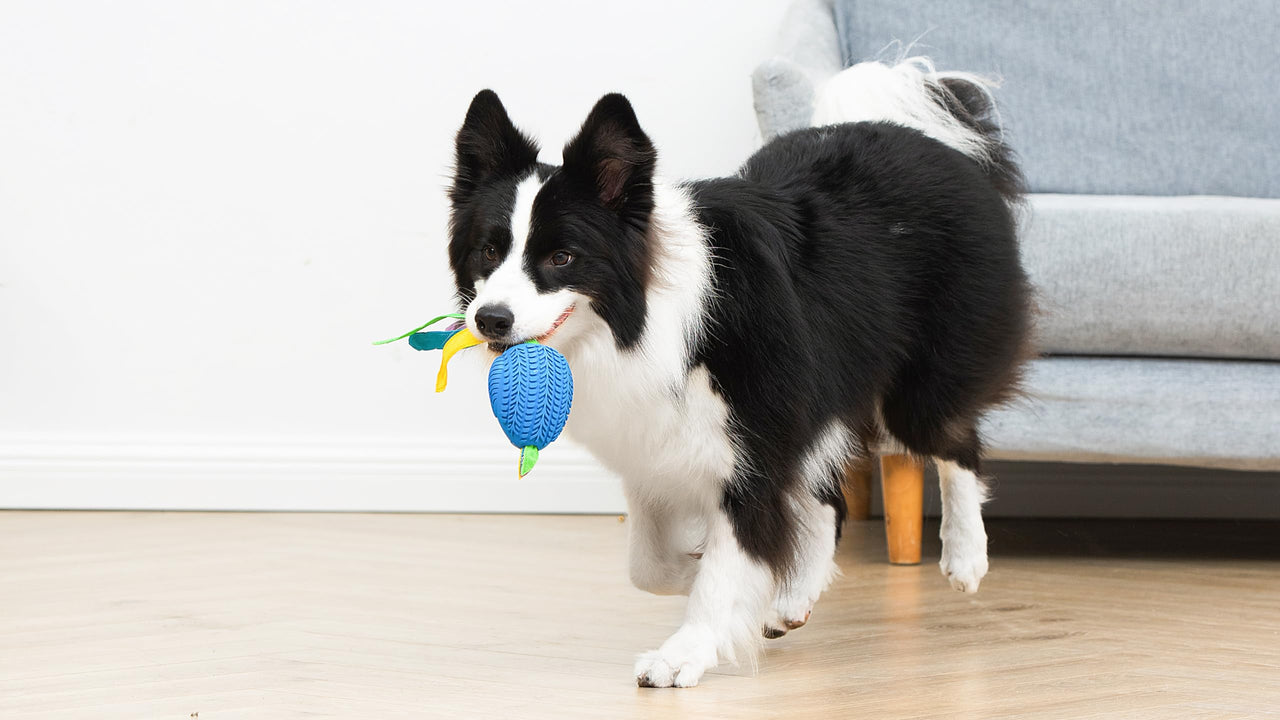 Arm & Hammer for Pets Super Treadz Large Rooster Dental Chew Toy for Dogs - Dog Dental Toys Help Reduce Plaque & Tartar Buildup Without Brushing - Safe for Dogs up to 35 Lbs Large - 1 Pack