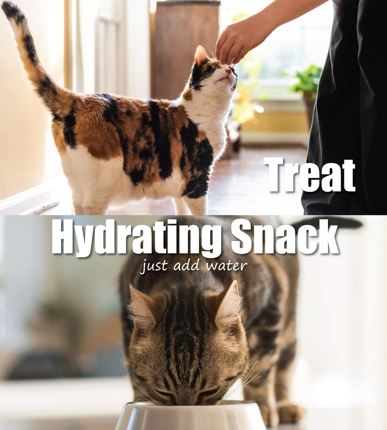 Whole Life Pet Freeze Dried Chicken Cat Treats - Human Grade - One Ingredient - Sourced and Made in The USA