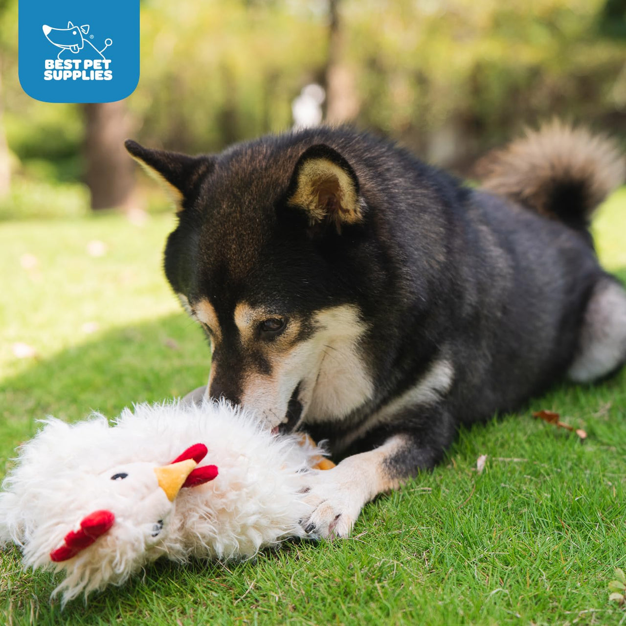 Best Pet Supplies Chicken Crinkle Plush Dog Toys for Interactive Play, Puppy and Senior Indoor Play, Colorful Chicken Toy Shape, Cute and Cuddly - Crinkle Chicken Bundle (Brown, Beige, Wine Red) Crinkle Chicken (Brown, Beige, Wine Red) Large