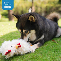 Best Pet Supplies Chicken Crinkle Plush Dog Toys for Interactive Play, Puppy and Senior Indoor Play, Colorful Chicken Toy Shape, Cute and Cuddly - Crinkle Chicken Bundle (Brown, Beige, Wine Red) Crinkle Chicken (Brown, Beige, Wine Red) Large