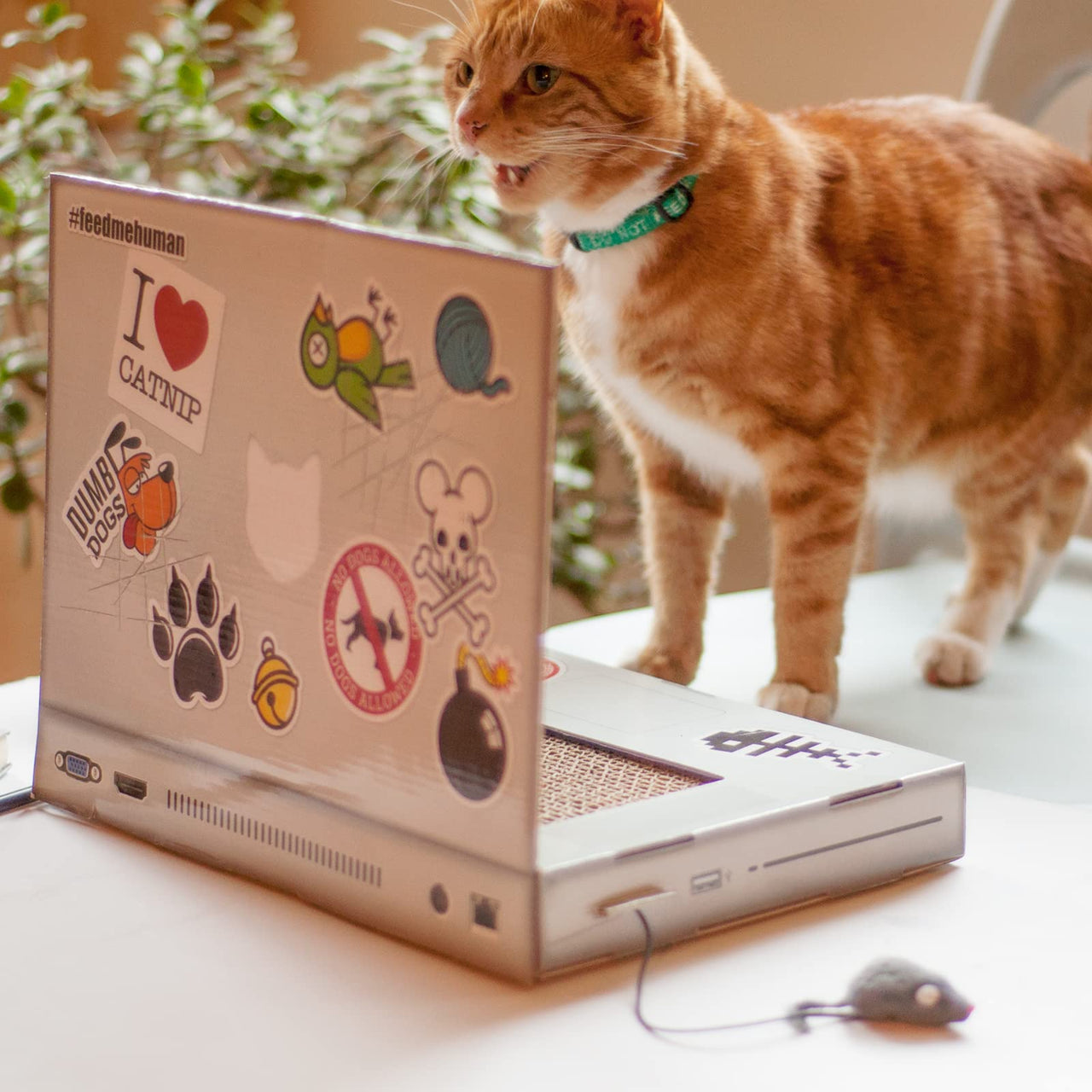 Suck UK Cat Scratcher Laptop with Fluffy 'Mouse' Interactive Toys, Paw Over Social Media & Catch up on The Mews, Kitten Toys & Cat Scratch Pads |