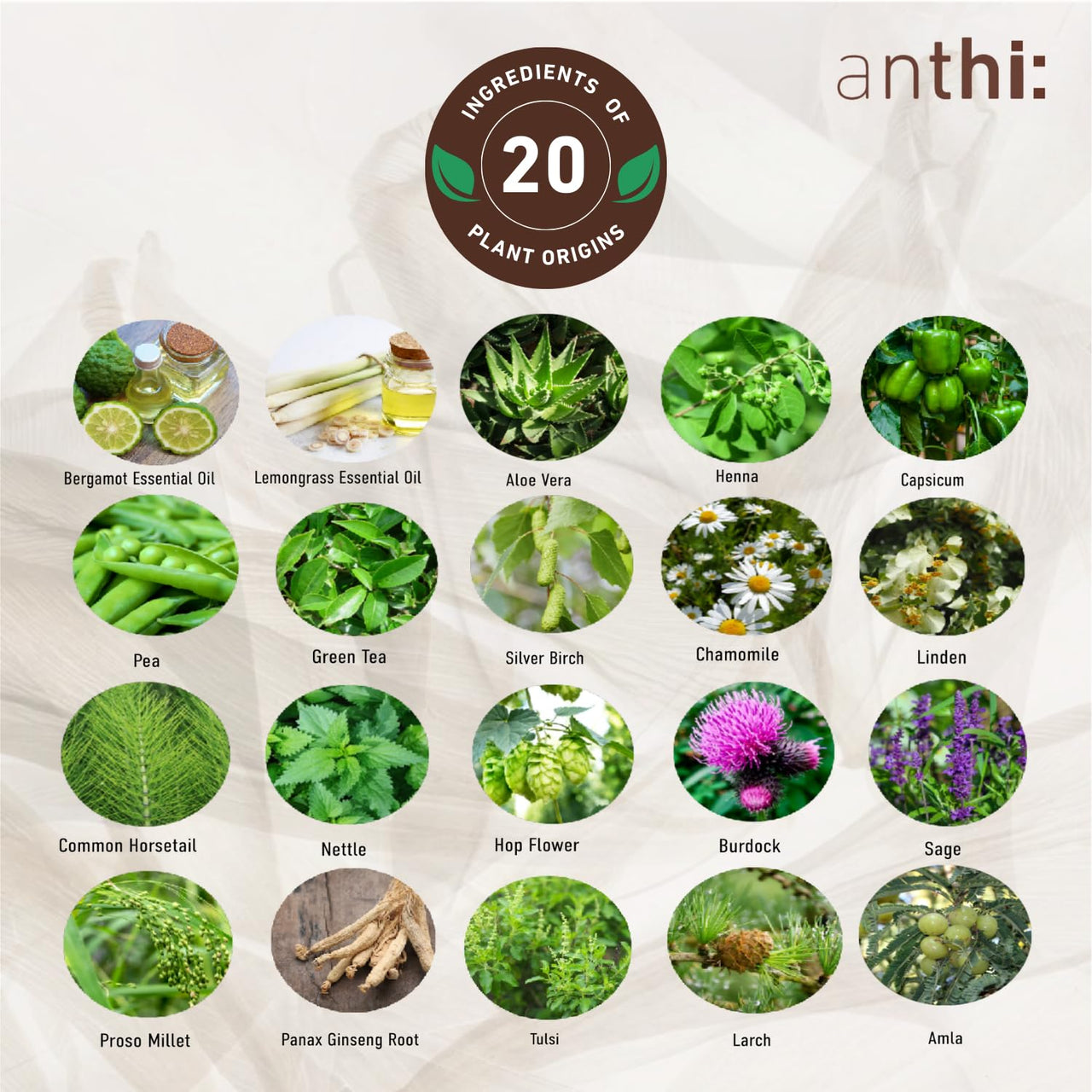 Anthi: Anti-Thinning Hair Serum, Thickening and Growth Stimulating Treatment, Plant-Origins Intensive Serum, 40 Ml, 120 Grams