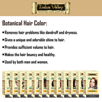 INDUS VALLEY 100% Certified Organic Hair Colour (Soft Black) - (120g*2=240g)