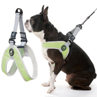 Gooby Simple Step in III Harness - Green, Small - Small Dog Harness with Scratch Resistant Outer Vest - Soft Inner Mesh Harness for Small, Medium Dogs Small chest (14.25∼17