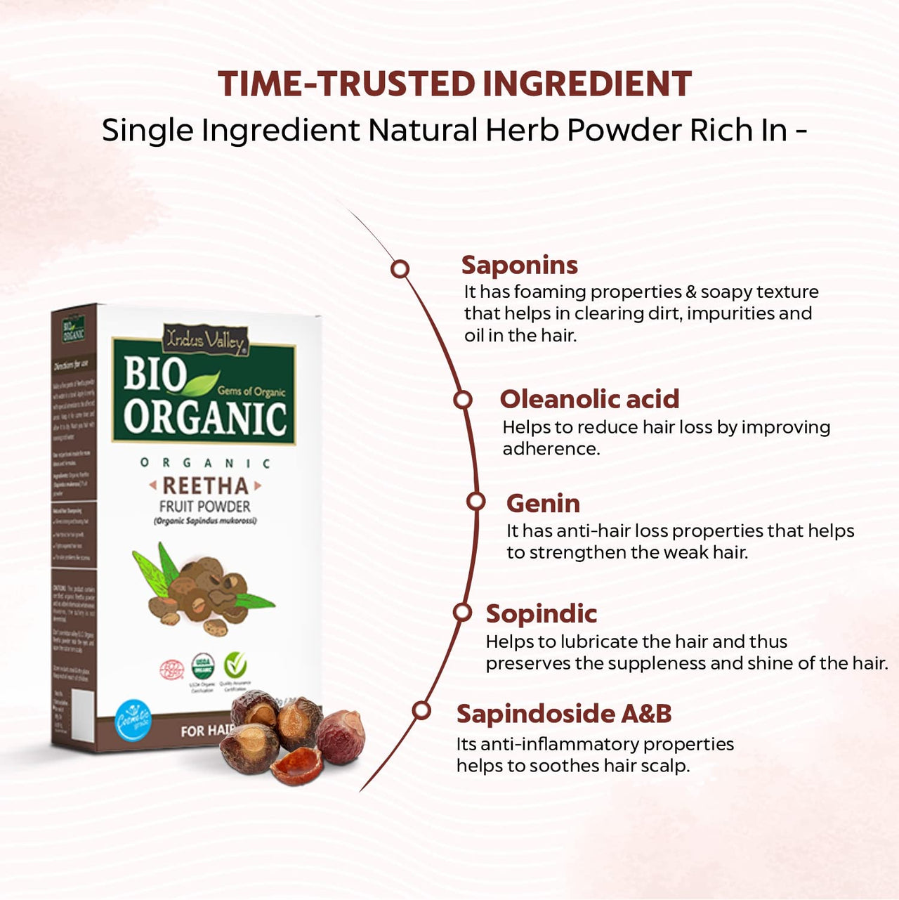 INDUS VALLEY Bio Organic Reetha Powder | Sapindus mukorossi | 100% Organic & Chemical Free Skin Cleanser (100g*2= 200g)