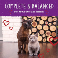 Stella & Chewy's  Freeze-Dried Raw Cat Dinner Morsels – Grain Free, Protein Rich Cat & Kitten Food – Bountiful Beef Recipe – 3.5 oz Bag 3.5 Ounce (Pack of 1)