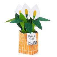 Hallmark Paper Wonder Pop Up Card (Potted Peace Lily) for Mother's  Day, Birthday, Administrative Professionals Day, Nurses Day, Thinking of You, Congrats, Get Well, or Any Occasion