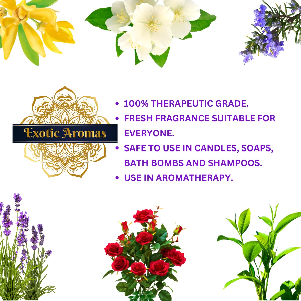 Exotic Aromas Essential Oil - Lavender oil, Lemongrass oil, Jasmine oil, Orange Oil, Rose oil (Pack of 5)