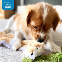 Best Pet Supplies 2-in-1 Stuffless Squeaky Dog Toys with Soft, Durable Fabric for Small, Medium, and Large Pets, No Stuffing for Indoor Play, Holds a Plastic Bottle - Hare, Pig, Medium