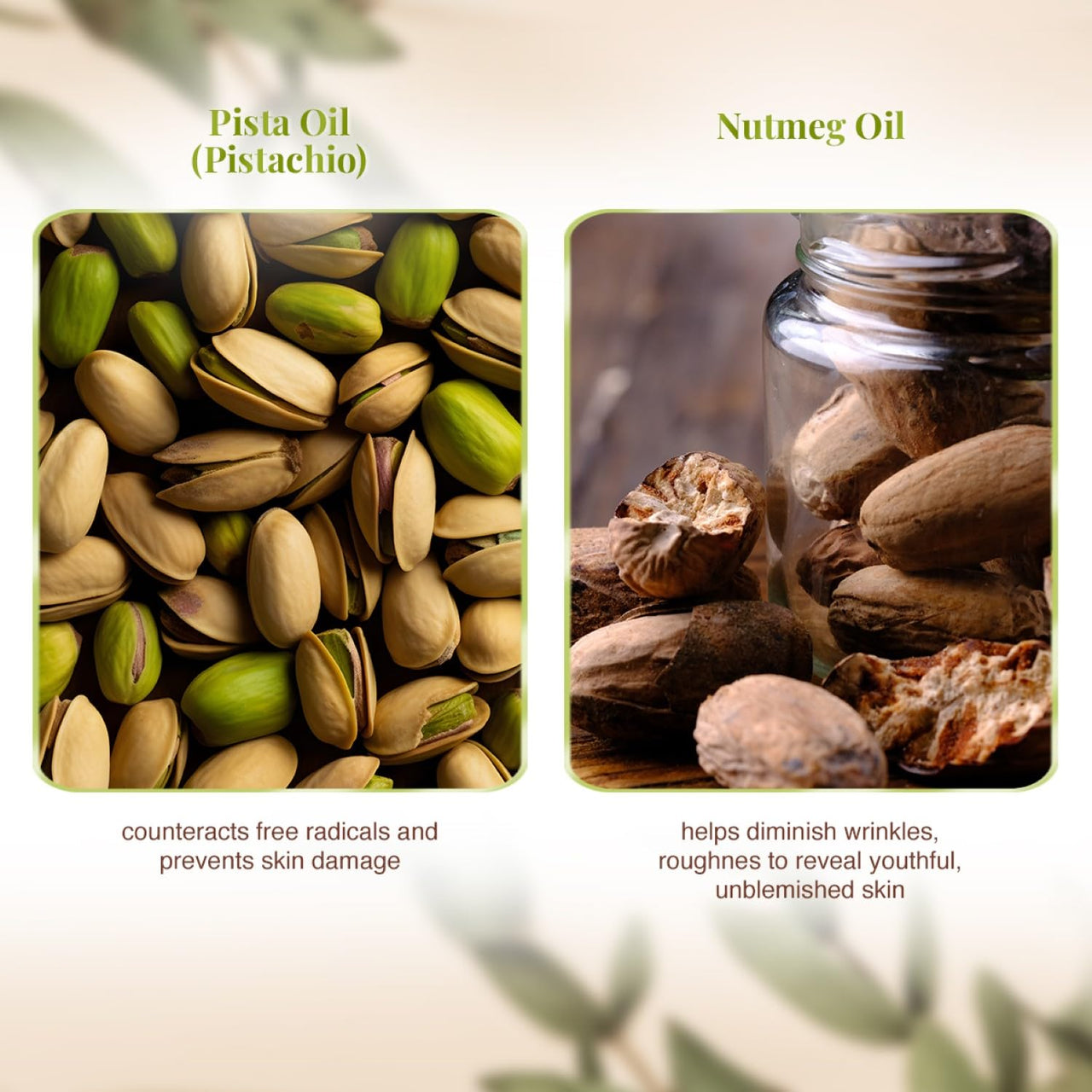 VLCC Pista Massage Cream 50g - For Intensive Hydration & Radiance | Improves Skin Complexion | Protects and Strengthens the Skin | Power of 10 Natural Extracts.