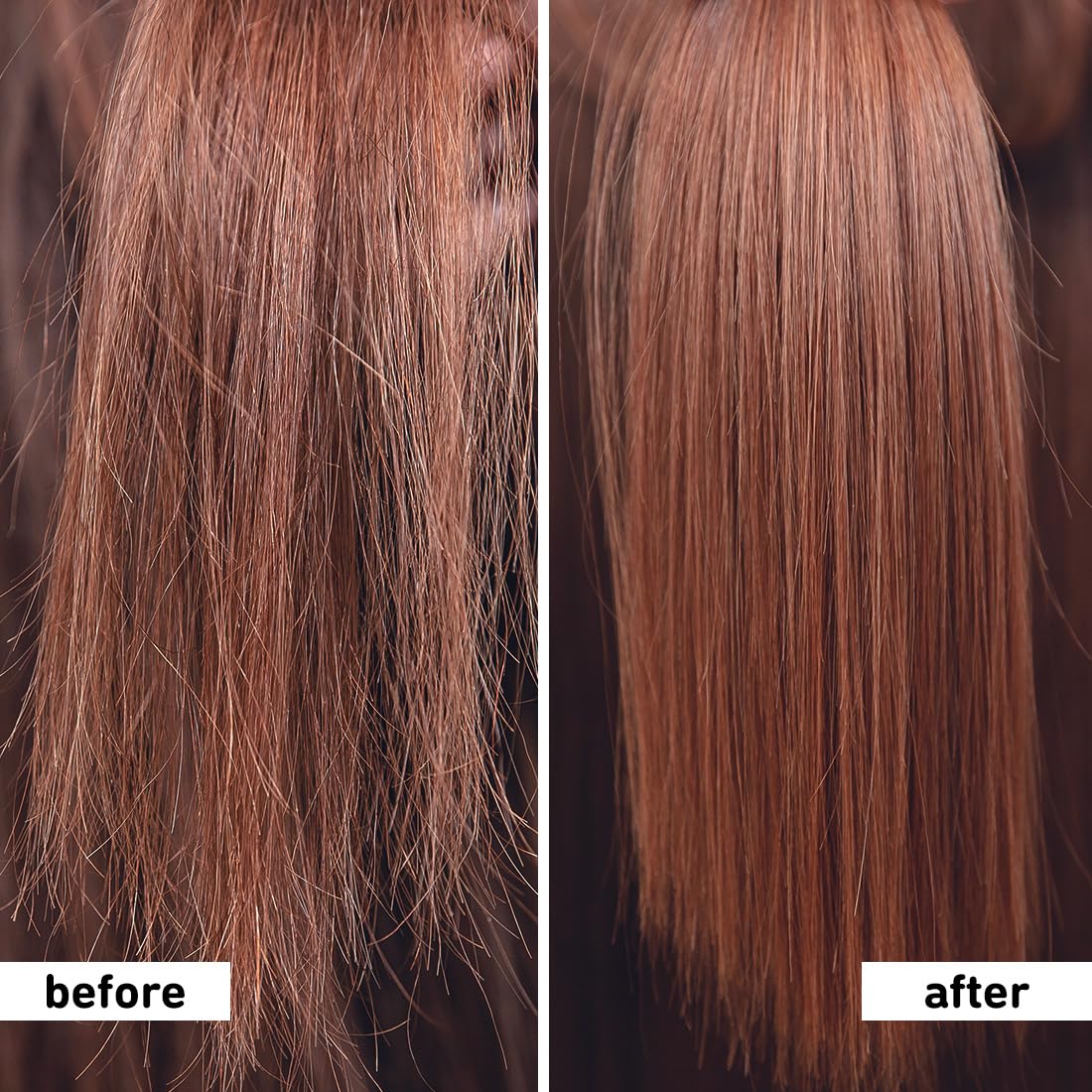 Plum Hibiscus Shampoo for Long Hair with Ceramides for Long & Healthy Hair I Soft, smooth, silky hair I Shampoo for Women and Men | SLS sulphate and paraben free shampoo I 250ml (Pack of 2)