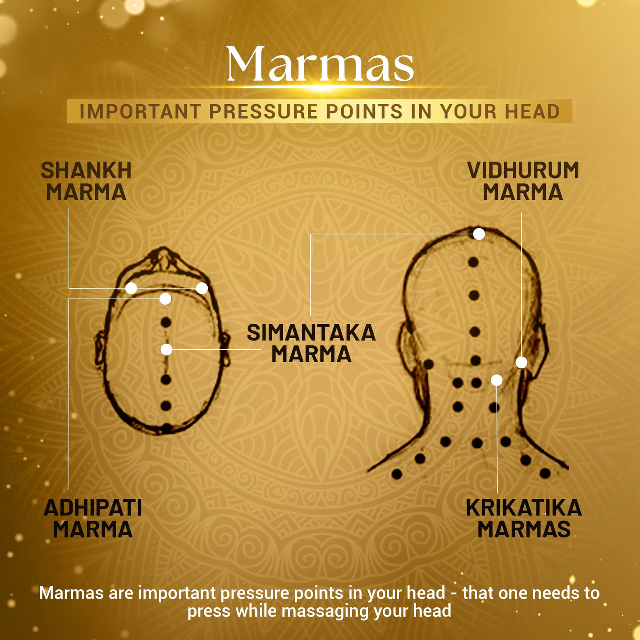 SESA Ayurvedic Rephase 2 Step Hair Oil Growth Kit With 26 Herbs And 6 Essential Oils Promotes Hair Growth Help Reduces Hair Fall With Massager Natural Hair Oil For Women And Men, 100 Ml