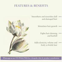 Just Herbs Ayurvedic Kumuda Indian White Waterlily Anti Hairfall Conditioner 200 Millilitres & Ayurvedic Creamy Matte Lipstick Set For Lip Hydrating & Moisturizing 38gm (Pack of 16)