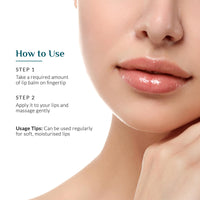 Ashpveda Ayurvedic Rose Petal Lip Balm For Dry & Chapped Lips With Kokum Fruit, Rose Flowers and Almond Oil | Lip UV Protection & Nourishment | Lip Balm with SPF for Soft Pink Lips