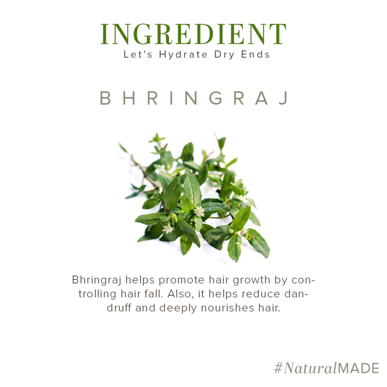 Khadi Natural Amla Bhringraj Hair Oil 210 ML - Nourishing and Strengthening Hair Oil with Amla and Bhringraj Extracts - Natural Haircare Pack 2 (Bhringraj)