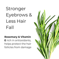 Noor Skincare Eyebrow & Eyelash Growth Serum/Oil - Organic, Brow & Lash Boosting Enhancer for Thick Eyebrows and Eyelashes - has Castor oil for Volume & comes with Applicators (30 ml)