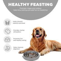 Outward Hound Fun Feeder Slo Bowl, Slow Feeder Dog Bowl, Large/Regular, Grey