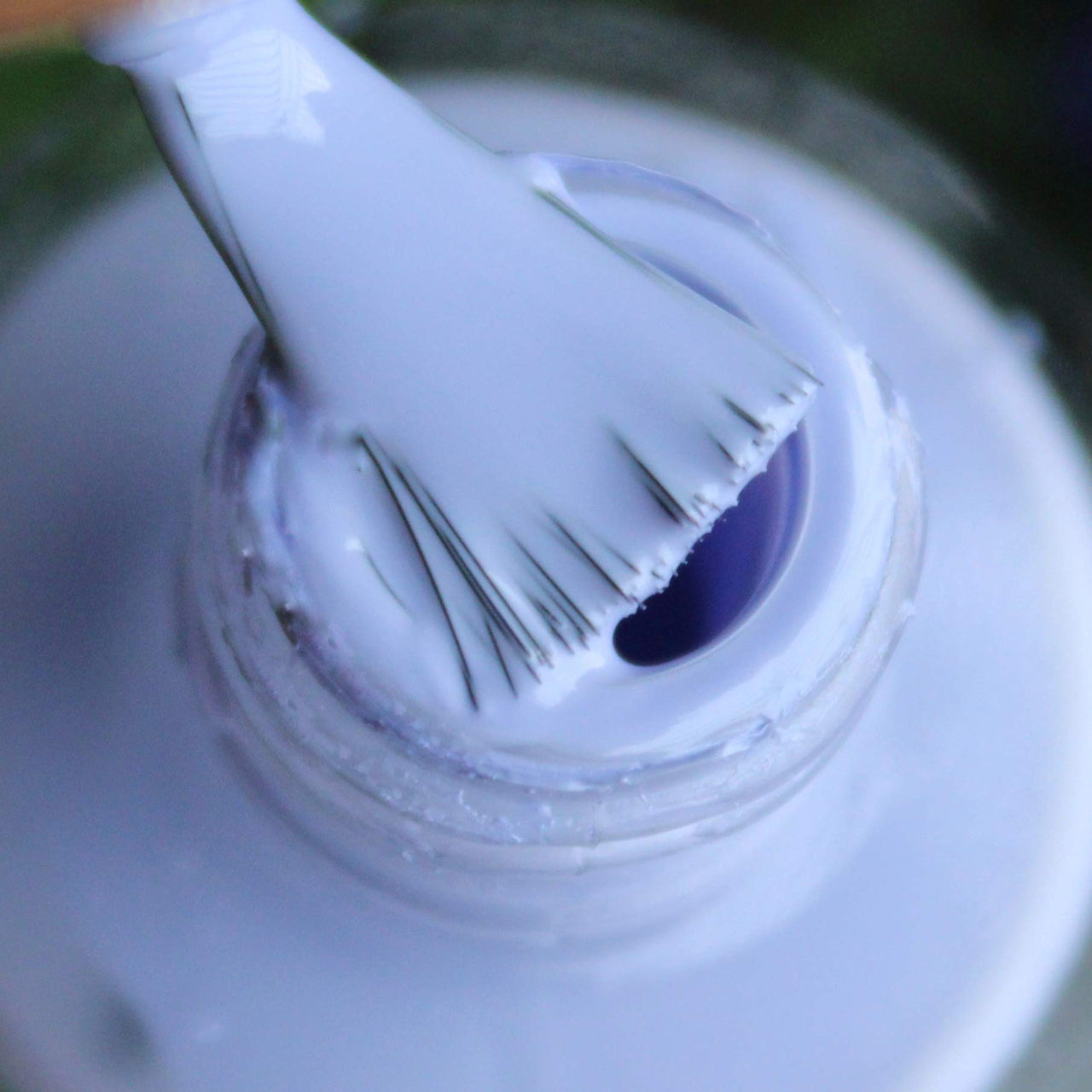 DeBelle Gel Creme Finish Nail Polish Blueberry Bliss (Light Lavender), 8 Ml - Enriched With Natural Seaweed Extract, Cruelty Free, Toxic Free