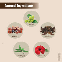 Shudh Online Amla, Reetha, Bhringraj, Shikakai & Hibiscus Powder combo for hair growth (50 grams each)