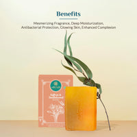 Ashpveda Sandalwood & Saffron Bathing Soap Bar | Ayurvedic Handmade Natural Scented Soap For Glowing, Smooth & Moisturizing Skin (100 gm) (Pack of 3)