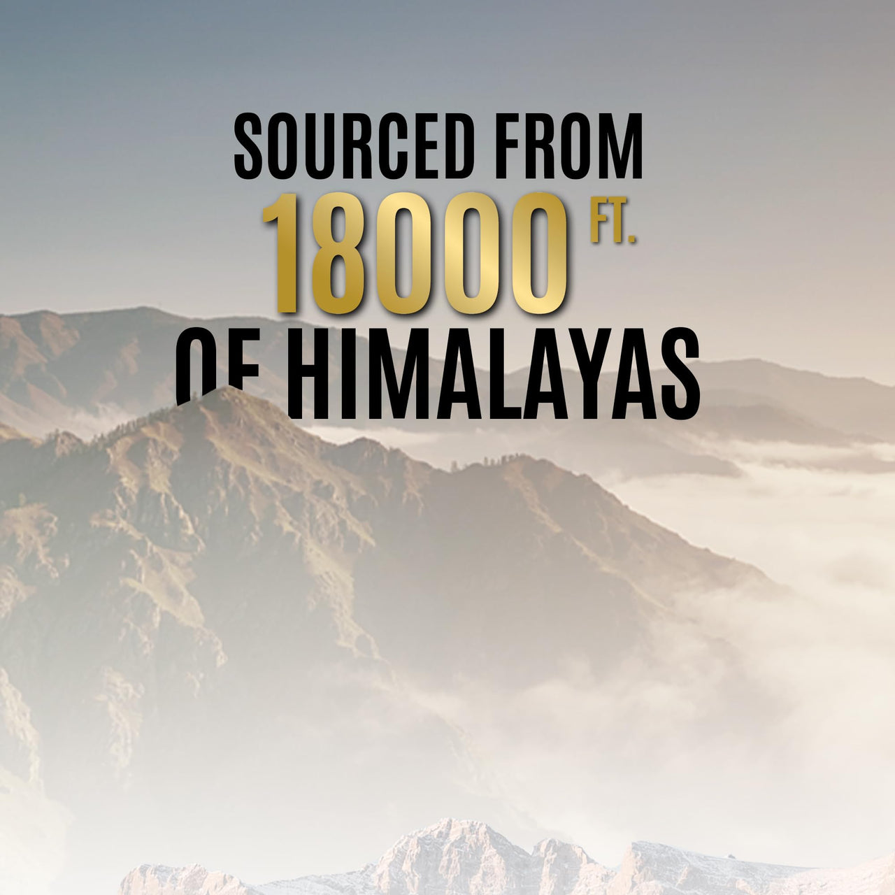 OG BEAUTY Wellness Himalayan Shilajit Resin - 20g | 100% Pure & Authentic | Lab-Certified | Sourced from the Himalayas