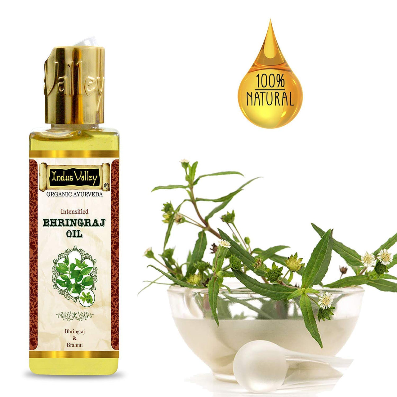 INDUS VALLEY Bhringraj Oil - (100ml)