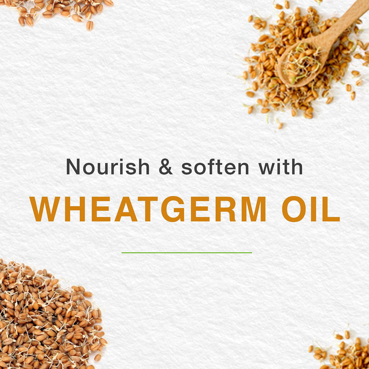 Himalaya Anti-Hair Fall Cream & Lip Balm Combo, Pack Of 1, White