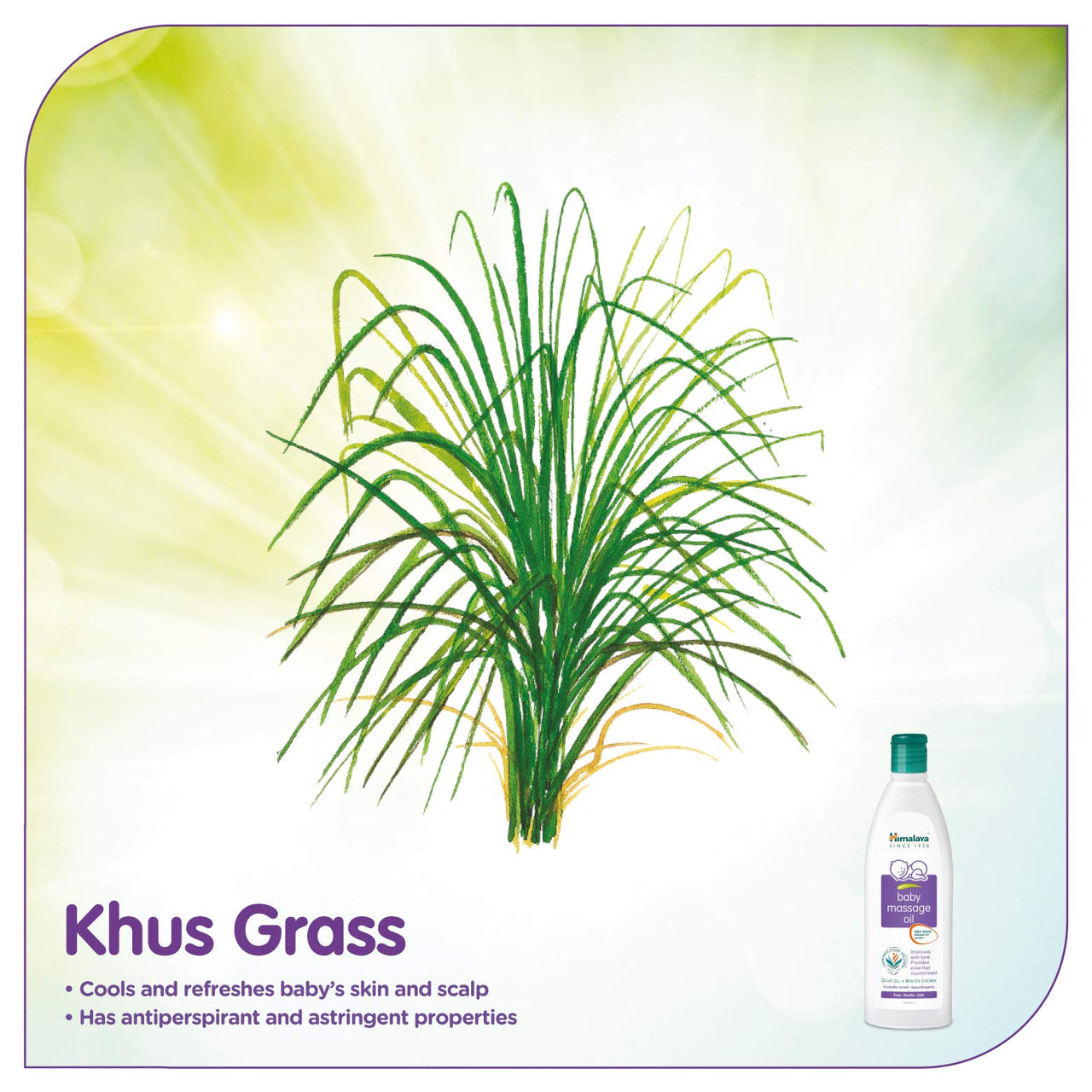 Himalaya Gentle Baby Soap Value Pack, 4 * 75g & Himalaya Baby Massage Oil (500ml)