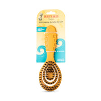 Burts Bees for Pets Porcupine Bristle Brush for Puppies and Small Dogs with Handle Made from Recycled Plastics Collected from Coastal Communities | Flex-head Grooming Brush for Dogs