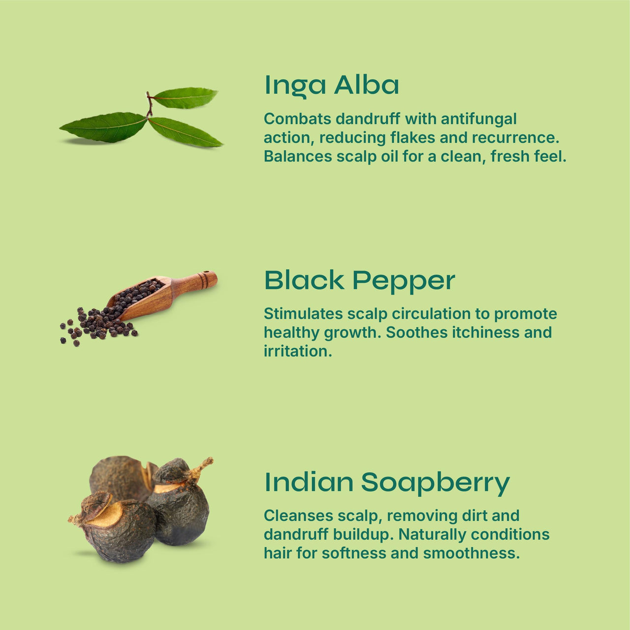 Tikitoro Teens Anti-dandruff Shampoo 100% Vegan with Aloe vera, Provitamin B5, Hibiscus, Rice Protein, Cleanses Scalp, Conditions Hair No Parabens & Sulphates (300ml x 1)