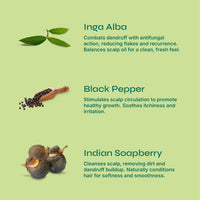 Tikitoro Teens Anti-dandruff Shampoo 100% Vegan with Aloe vera, Provitamin B5, Hibiscus, Rice Protein, Cleanses Scalp, Conditions Hair No Parabens & Sulphates (300ml x 1)