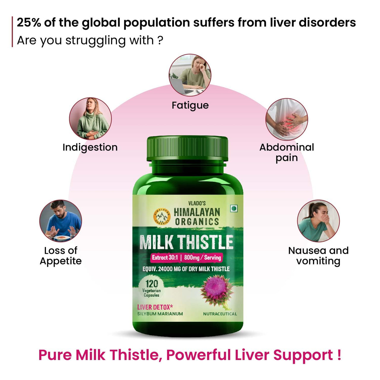 Vlado's  HIMALAYAN ORGANICS Milk Thistle Extract With 800Mg Of Silybum Marianum Detox Supplement For Men And Women For Healthy Liver | Boost Metabolism And Maintain Cholesterol level - 120 Vegetarian Capsules