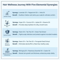 Singular Anti Dandruff Hair Oil for Nourishes & Hydrates Scalp Dandruff-Free Hair | Pure & Natural Cold Pressed Oil Infused with Nature's Best Tea Tree, Coconut, Peppermint, Neem, Rosemary, Argan Oil with Vitamin E | Ideal for Dandruff-Prone Scalp | 400 m