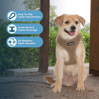 Aerolite No Pull Mesh Dog Harness with Lightweight, Soft, Breathable Chest Coverage, Reflective Stitching, and Adjustable Straps for Walking, Running, Training, Heavy Duty and Durable - Beige, XL