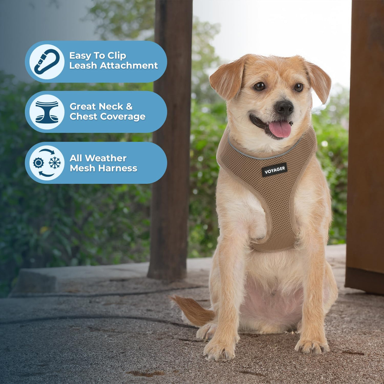 Aerolite No Pull Mesh Dog Harness with Lightweight, Soft, Breathable Chest Coverage, Reflective Stitching, and Adjustable Straps for Walking, Running, Training, Heavy Duty and Durable - Beige, L 220 Style (Beige) L (Chest: 20 - 25")