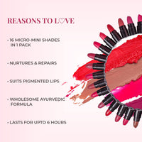 Just Herbs Ayurvedic Liquid Lipstick Kit Set of 5 with Hydrating & Lightweight Lip Colours (Brights & Pinks) & Just Herbs Ayurvedic Creamy Matte Lipstick Set38gm (Pack of 16)