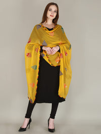 DIAMO Embroidered Chiffon Women's  Dupatta