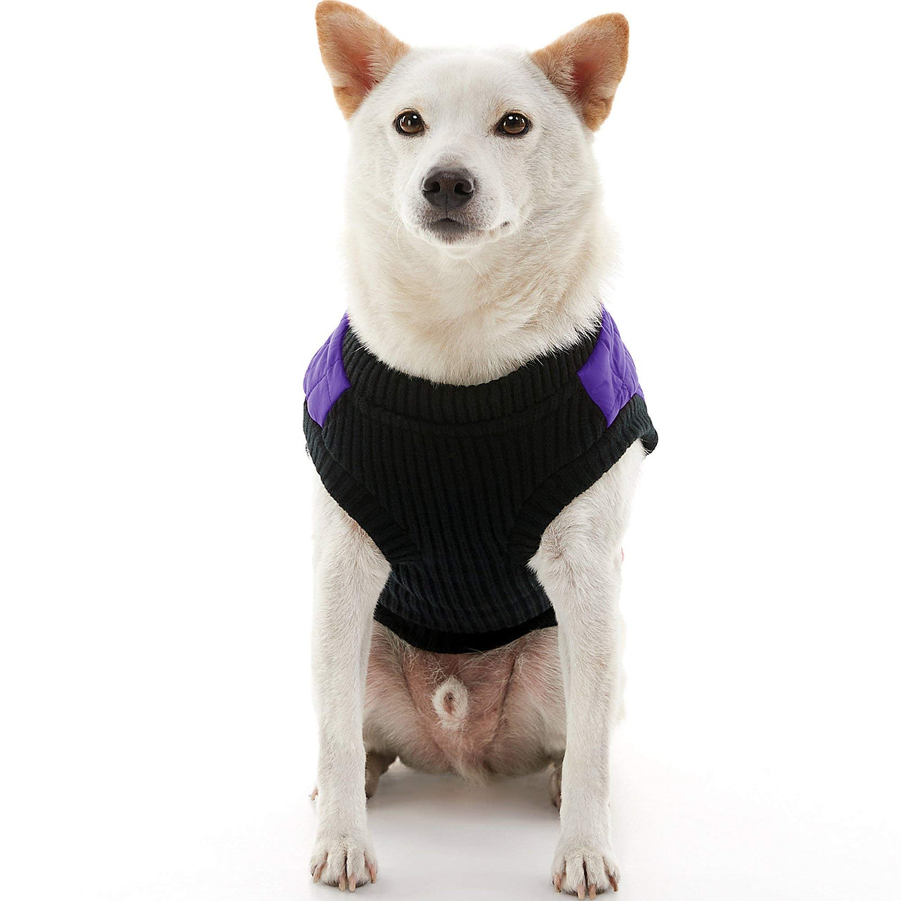 Gooby Fashion Vest Dog Jacket - Violet, Medium - Warm Zip Up Dog Bomber Vest with Dual D Ring Leash - Winter Water Resistant Small Dog Sweater - Dog Clothes for Small Dogs Boy or Medium Dogs Medium chest (~14.5")