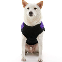 Gooby Fashion Vest Dog Jacket - Violet, Medium - Warm Zip Up Dog Bomber Vest with Dual D Ring Leash - Winter Water Resistant Small Dog Sweater - Dog Clothes for Small Dogs Boy or Medium Dogs Medium chest (~14.5