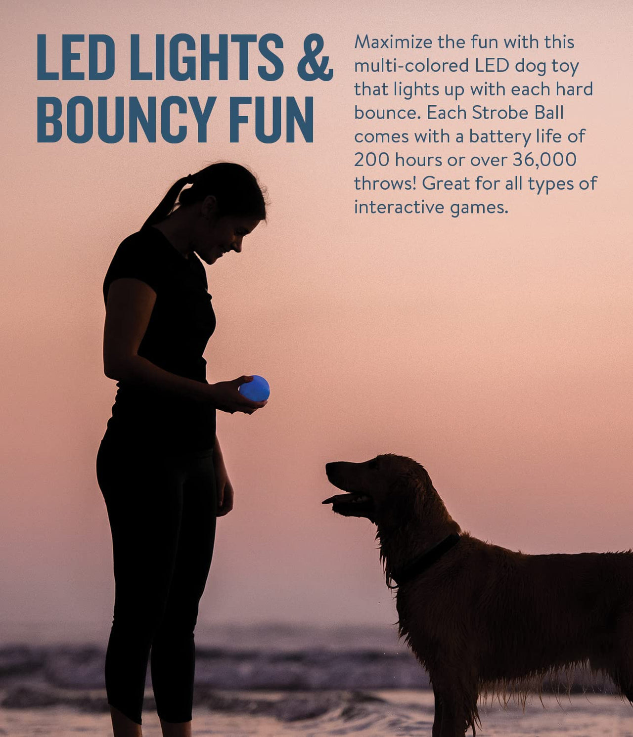 Planet Dog Orbee-Tuff Strobe Ball Glow-in-The-Dark Light Up LED Dog Toy
