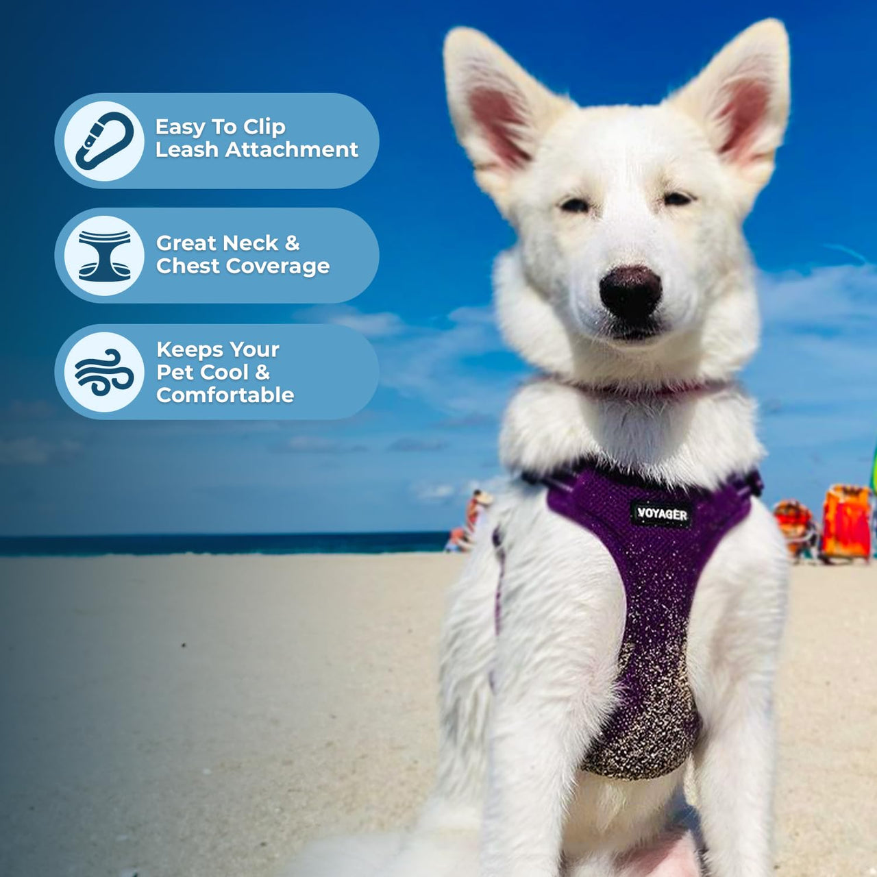 Best Pet Supplies Voyager Adjustable Dog Harness with Reflective Stripes for Walking, Jogging, Heavy-Duty Full Body No Pull Vest with Leash D-Ring, Breathable All-Weather - Harness (Purple), S Harness (Purple) S (Chest: 15 - 18")