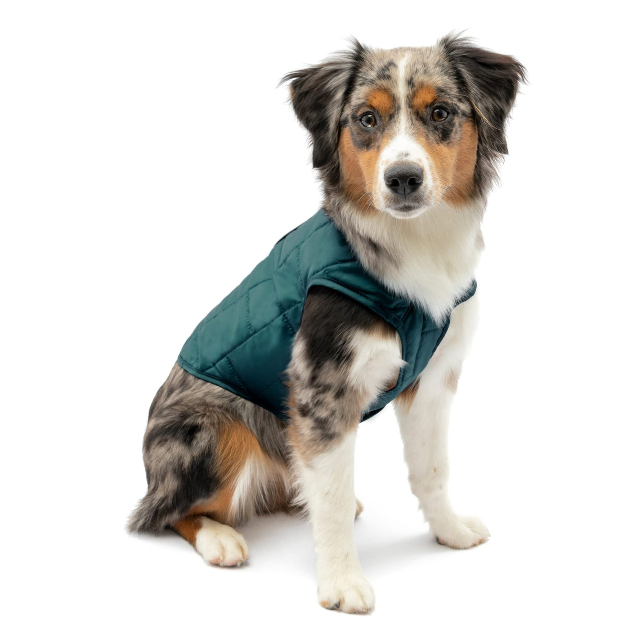 Kurgo Loft Dog Jacket, Reversible Dog Coat, Wear with Harness or Sweater, Water Resistant, Reflective, Winter Coat For Small Dogs (Ink Blue, XS) Extra Small Ink Blue/Seaglass