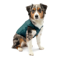 Kurgo Loft Dog Jacket, Reversible Dog Coat, Wear with Harness or Sweater, Water Resistant, Reflective, Winter Coat For Small Dogs (Ink Blue, XS) Extra Small Ink Blue/Seaglass