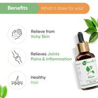 Naturalis Camphor Oil - Pure and Natural Steam Distilled Camphor Essential Oil for Skin, Hair and Aromatherapy - Camphor Mosquito Repellent - 30ml