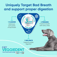 Virbac CET VEGGIEDENT FR3SH Tartar Control Chews for Dogs, Small, Beef, 1.1 pounds