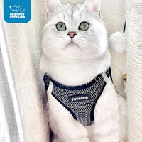 Voyager Step-in Air Dog Harness - All Weather Mesh Step in Vest Harness for Small and Medium Dogs and Cats by Best Pet Supplies - Harness (Gray 2-Tone), L (Chest: 18-20.5