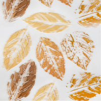 Miss Claire Professional Makeup Everyday Foundation Natural Weightless Foundation 30ml (BE-04 Buff)