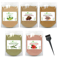 Shudh Online Amla, Reetha, Bhringraj, Shikakai & Hibiscus Powder combo for hair growth (50 grams each)